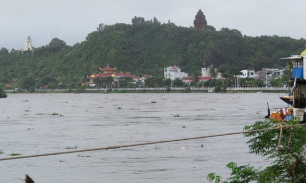 Lũ trên các sông từ Bình Định đến Ninh Thuận có khả năng lên lại