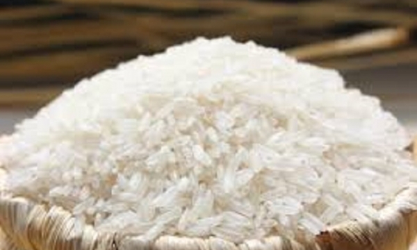 Thị trường gạo trong nước sẽ không có nhiều biến động