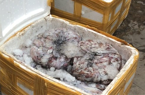 Bình Dương: Phát hiện 1,2 tấn hải sản bốc mùi chuẩn bị đưa về Sài Gòn tiêu thụ