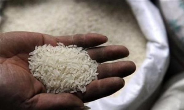 Trung Quốc sản xuất gạo giả vì mục đích gì?
