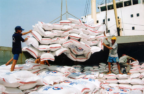 Xuất khẩu gạo của Việt Nam trong năm 2017 tăng nhẹ