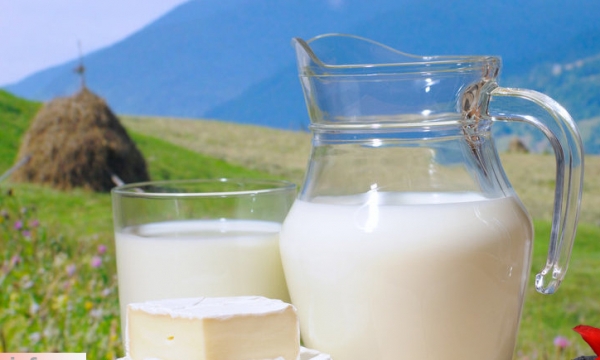 Người tiêu dùng lo giá sữa tăng khi bỏ trần
