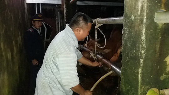 Quảng Nam: Xử lý nhiều cơ sở bơm nước vào bụng bò trước khi giết mổ