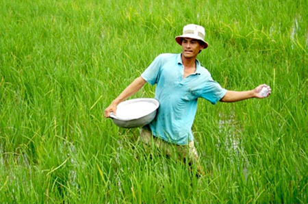 Việt Nam: Nhu cầu tiêu thụ phân bón lên đến 11 triệu tấn/năm