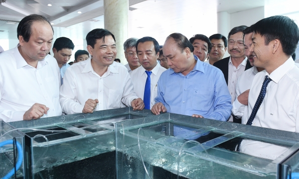 Việt Nam phấn đấu trở thành một công xưởng sản xuất tôm của thế giới.