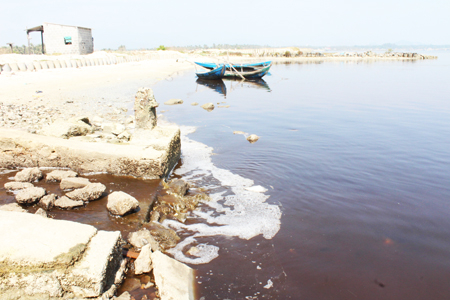 Hàng loạt thủy sản chết trong các đìa quanh khu vực Nhà máy đường Khánh Hòa