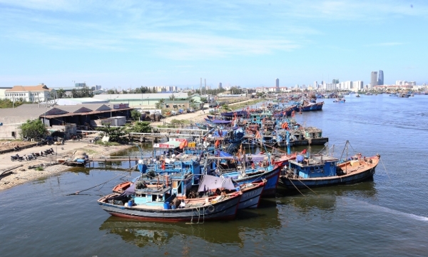 Đà Nẵng: Xây dựng Cảng cá động lực