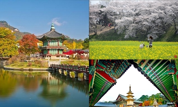 Gyeongbuk - 'thiên đường du lịch' của Hàn Quốc bị du khách Việt lãng quên