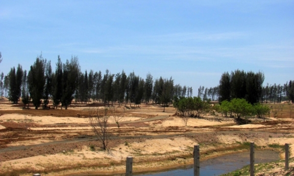 Dọn rừng phòng hộ làm dự án, tỉnh Phú Yên thừa nhận thiếu sót