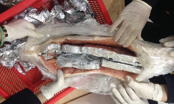 Bắt hơn 4kg sản phẩm động vật hoang dã giấu trong bụng cá hồi