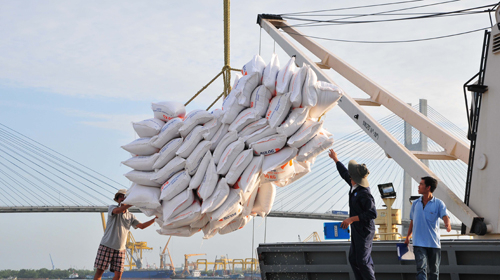 DN xuất khẩu gạo trong nước lại chật vật tìm đầu ra
