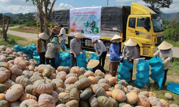 Lotte Mart chung tay giải cứu bí đỏ cho nông dân Đắk Lắk