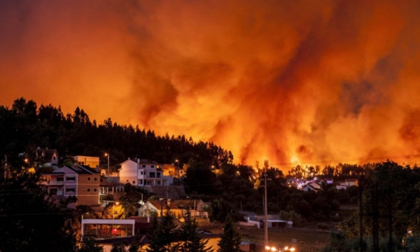 Cháy rừng dữ dội ở Bồ Đào Nha, 24 người chết