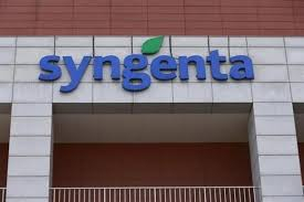 Vụ kiện tập đoàn Syngenta: Nông dân Mỹ thắng gần 218 triệu USD