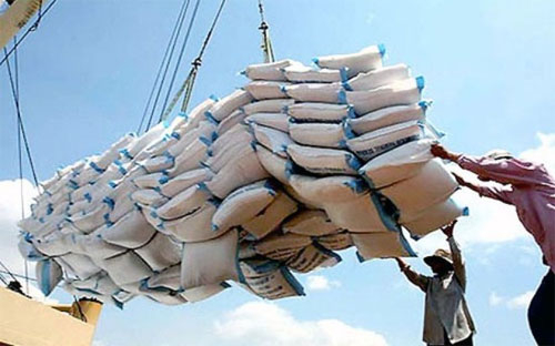Xuất khẩu gạo vào thị trường Trung Quốc chiếm 43% thị phần