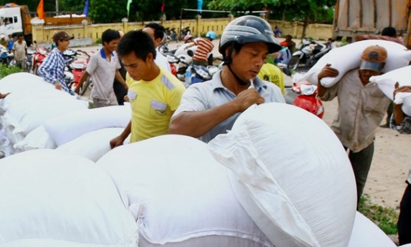 Hỗ trợ 252.900 tấn gạo cho người nghèo tỉnh Bình Định