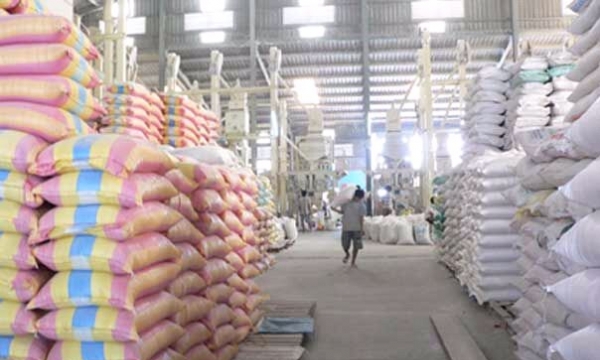 Philippines mở thầu 250.000 tấn gạo