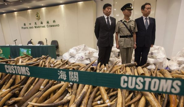 Malaysia bắt người Việt buôn lậu ngà voi, Nhật bắt người Việt cướp của
