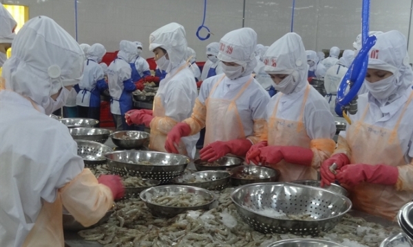 Tăng nhập khẩu thủy sản vào Việt Nam