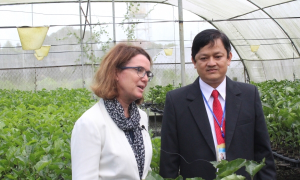 Bộ trưởng Úc đề nghị hợp tác và hỗ trợ Việt Nam về cây ăn quả 