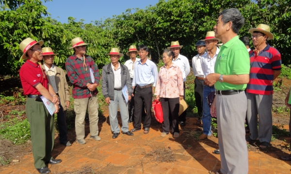 Nescafé tập huấn lập kế hoạch sản xuất kinh doanh cho nông dân