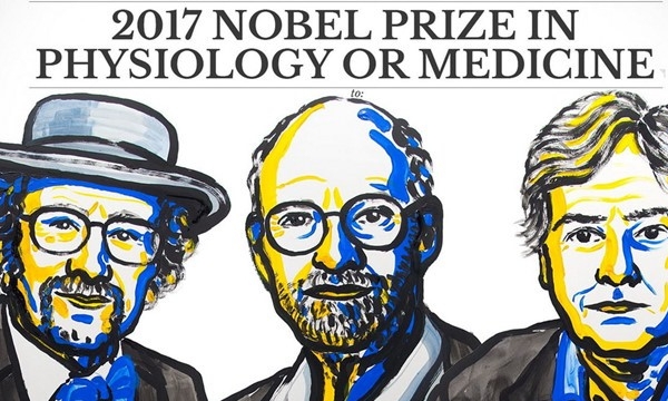 Đoạt giải Nobel Y Sinh 2017, 3 nhà nghiên cứu Hoa Kỳ được thưởng hơn 1 triệu USD