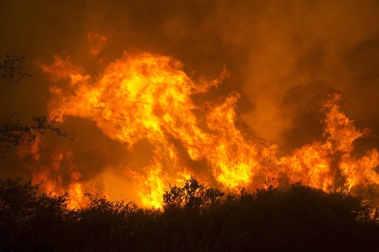 Hoa Kỳ: Cháy rừng khủng khiếp nhất trong lịch sử California, hơn 10 người chết