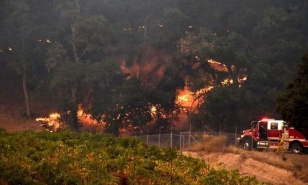  Vẫn cháy rừng khủng khiếp ở California, 31 người chết, hằng trăm mất tích