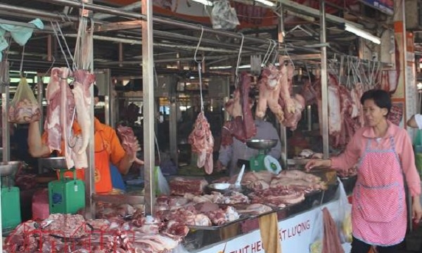 Lợn không đủ thông tin truy xuất vẫn vào chợ đầu mối tại TP.HCM