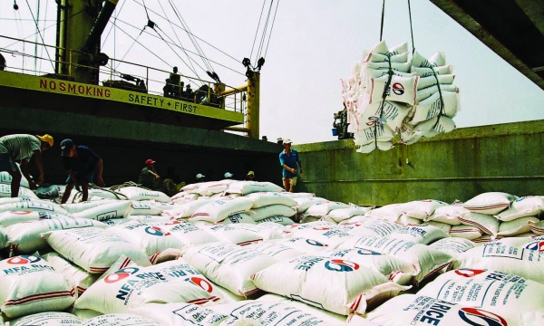 Xuất khẩu gạo Việt Nam xác định thị trường chủ lực