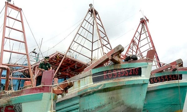 Đình chỉ vĩnh viễn nếu tàu cá tái khai thác sang vùng biển nước ngoài trái phép