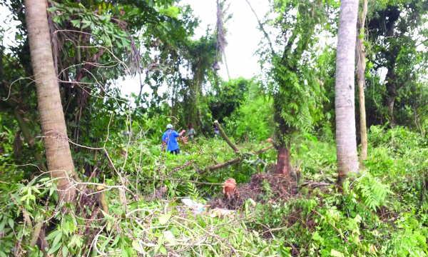 Dự án KDC Phú Quang chưa đền bù, đã san lấp đất canh tác!