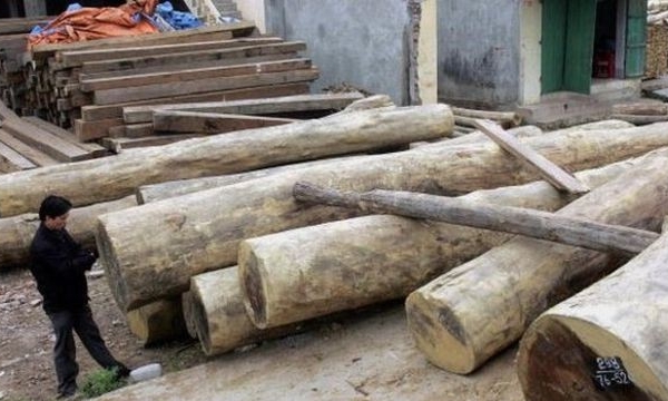 Bảy người Việt bị án bảy năm tù ở Campuchia vì buôn lậu gỗ