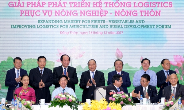 Phát triển ngành rau - củ - quả Việt Nam: Chìa khóa của sự thành công chính là chất lượng và giá thành sản phẩm