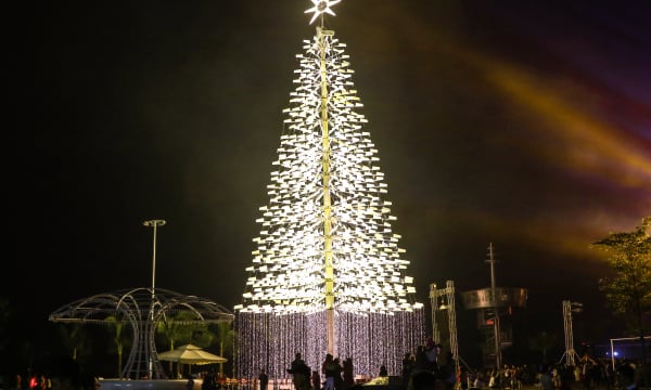  Chiêm ngưỡng cây thông Noel cao 30 mét tại Cocobay Đà Nẵng