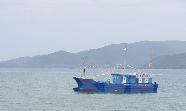 Phú Yên: Khẩn trương tìm kiếm ngư dân mất tích trên biển