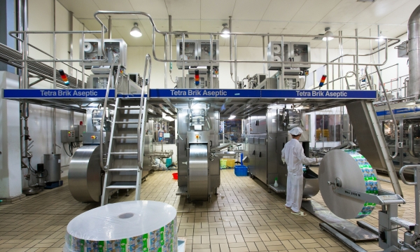 NutiFood xuất khẩu sữa Việt Nam sang thị trường Mỹ