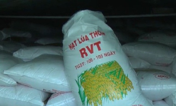 Cần Thơ: Phát hiện hơn 1.000 tấn lúa giống giả nhãn mác