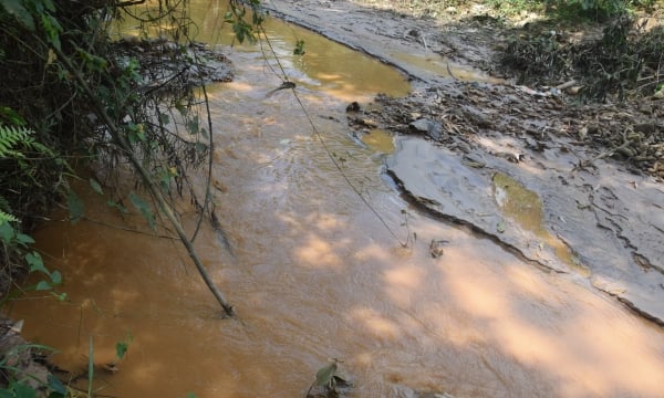 Làm rõ vụ “vỡ” đập thải tại bãi vàng Quảng Nam gây ô nhiễm sông Bồng Miêu