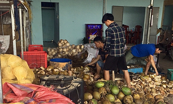 Quảng Nam phát hiện cơ sở sử dụng hóa chất tẩy trắng dừa