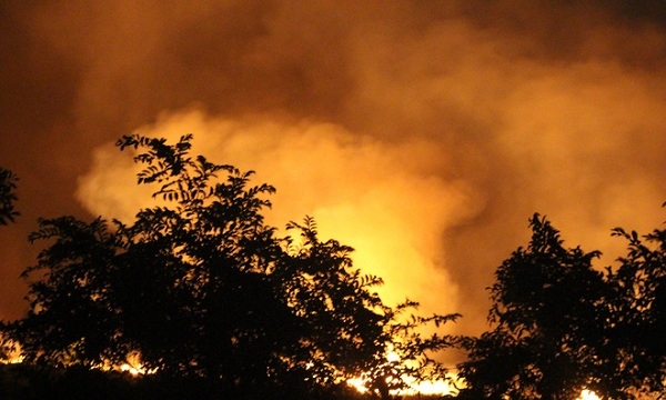 TP.HCM: Cháy lớn tại rừng tràm ở huyện Bình Chánh