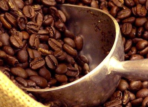 Giữa tháng 4, trị giá xuất khẩu cà phê giảm 