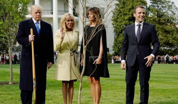 Hoa Kỳ: Cây sồi non hai Tổng thống Trump và Macron trồng ở Nhà Trắng vì sao biến mất?
