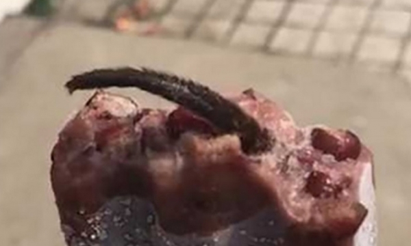 Trung Quốc: Phát hiện đuôi chuột bên trong que kem cắn dở 
