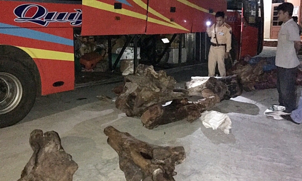 Quảng Nam: Bắt quả tang xe khách vận chuyển gỗ lậu