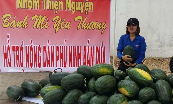 Quảng Nam: Nhiều tổ chức Hội đồng loạt ra quân kêu gọi “giải cứu” dưa