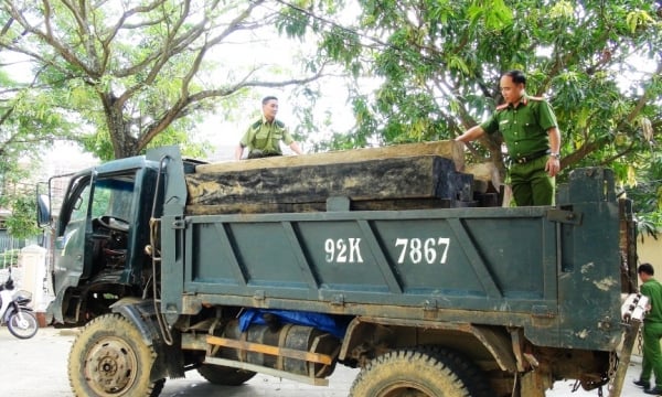 Quảng Nam: Bắt xe ô tô vận chuyển 30 phách gỗ trái phép