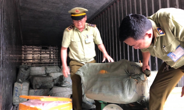 Đà Nẵng: Phát hiện xe chở gần 7 tấn phế phẩm động vật hôi thối