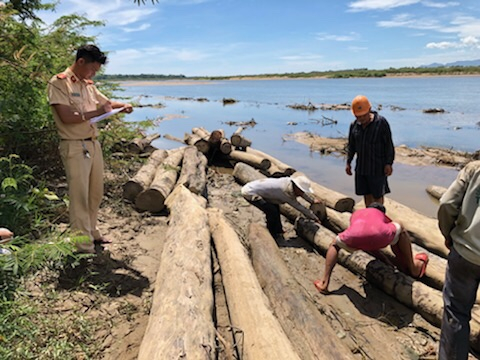 Quảng Nam: Phát hiện bãi tập kết gỗ ở bờ sông Vu Gia