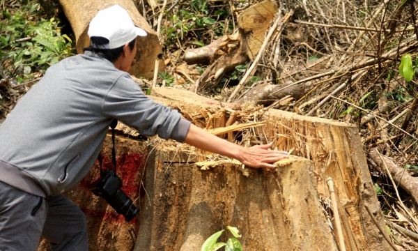 Quảng Nam: Nhiều cán bộ bị kỷ luật do để xảy ra khai thác vàng trái phép và mất rừng